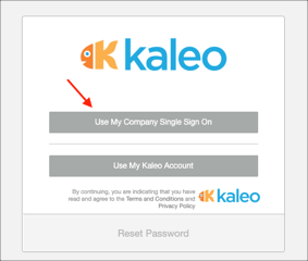 Go to https://[your-subdomain].kaleosoftware.com, click Use My Company Single Sign On